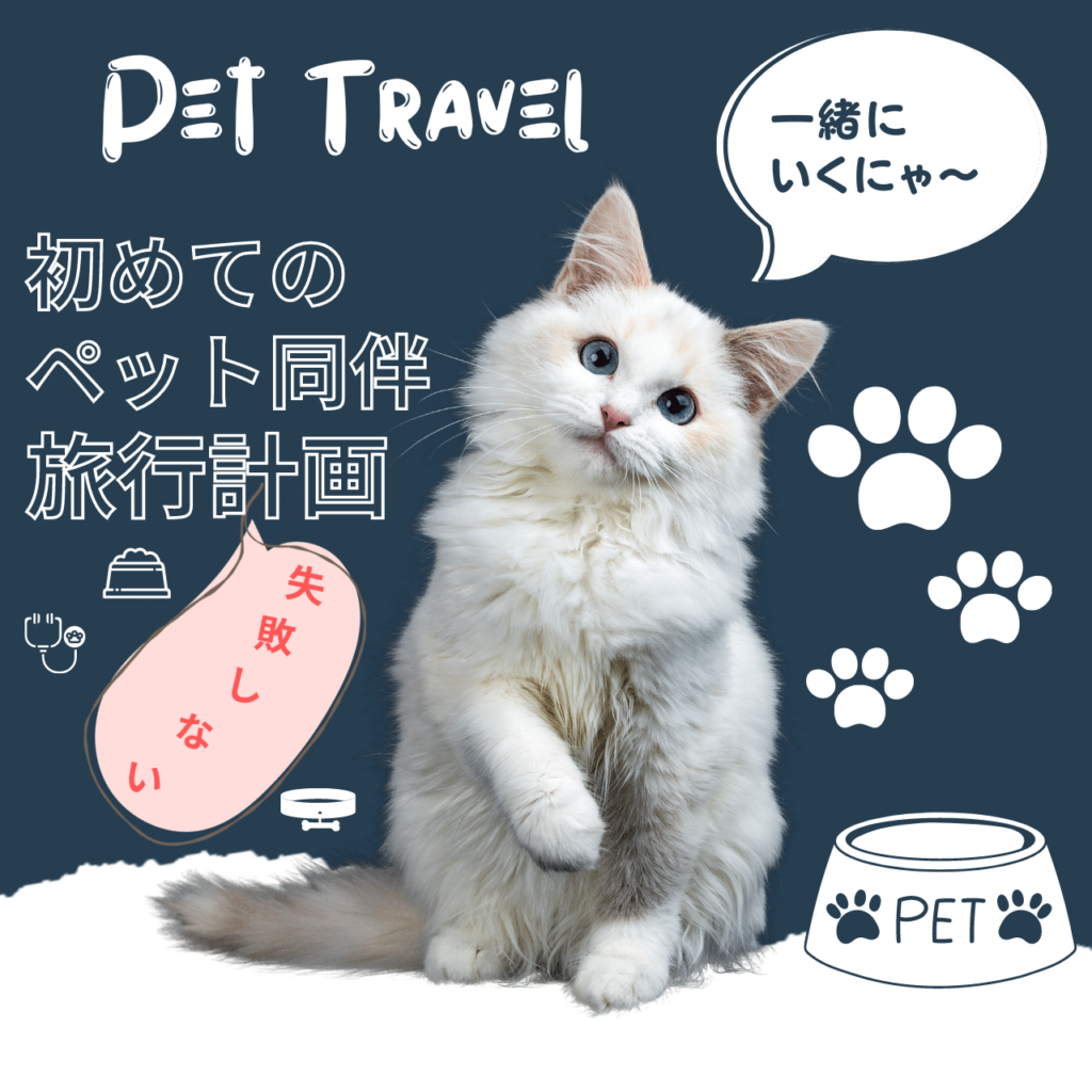 pet Travel